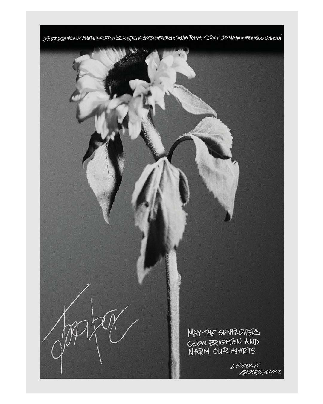Zine Design & Layout - TARAS GEMBIK - CHAOS GONE GLOBAL image 11