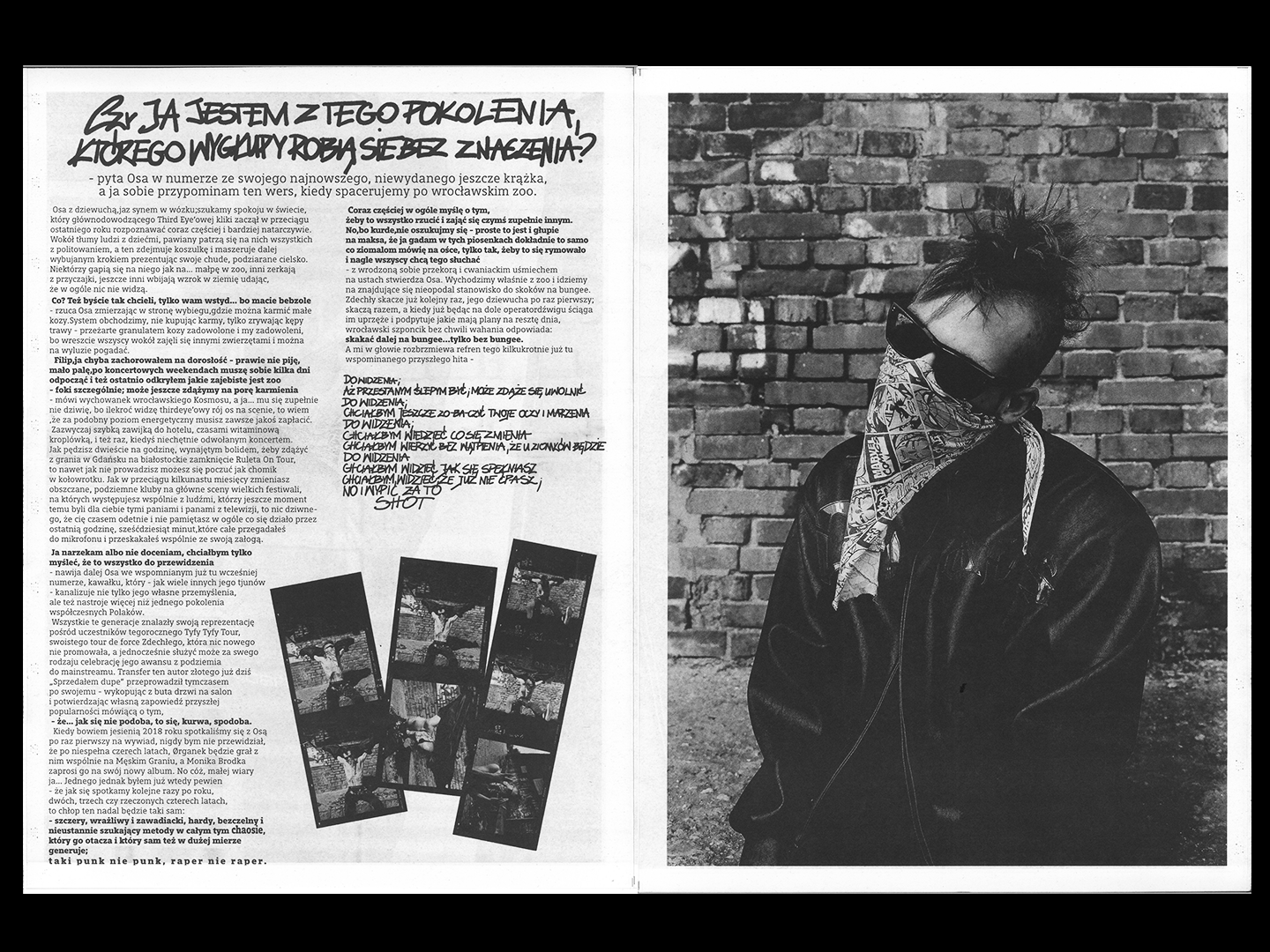 Zine Design & Layout - Zdechły Osa Chaos Gone Global image 1